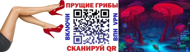 blacksprut маркетплейс  Строитель  Псилоцибиновые грибы Psilocybine cubensis 
